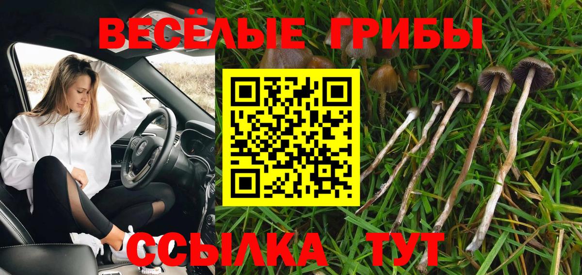 Чебаркуль  купить наркотики цена  Вход с VPN  Псилоцибиновые грибы Magic Shrooms 